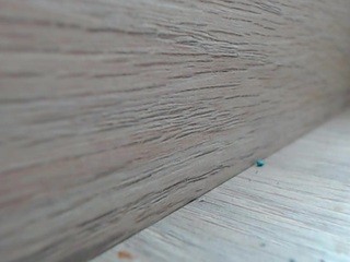 sugery-2725 naked on cam. Free Live Sex Chat Room