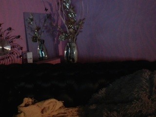 flowerlaura naked on cam. Free Live Sex Chat Room