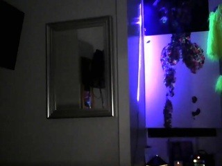 British Blue naked on cam. Free Live Sex Chat Room