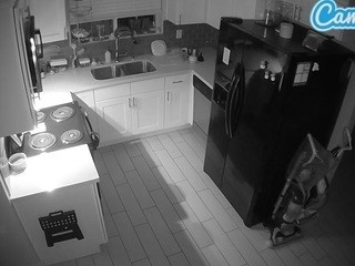 MOB’s Room naked on cam. Free Live Sex Chat Room