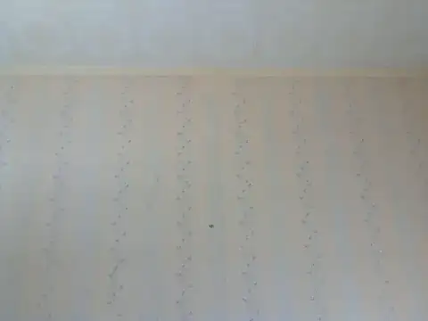 LustfulSarah xxx stripping on webcam for live porn video chat