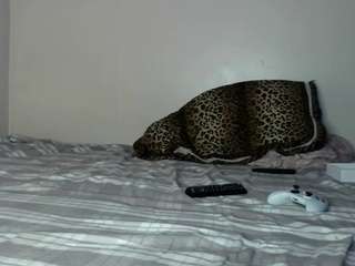 bigcheeksbunnyy nude before cam. Free Live Sex Chat Room