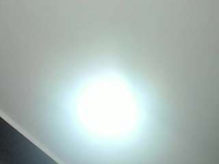 Yuriko-May nude before cam. Free Live Sex Chat Room